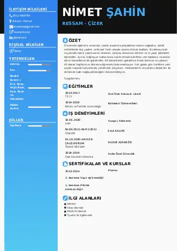 Ressam Cv Örnekleri cv indir